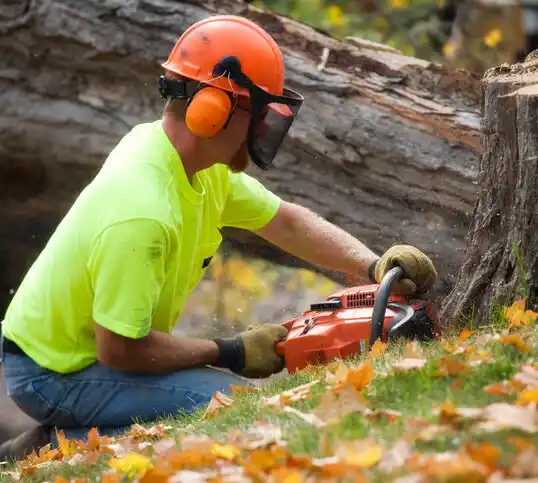 tree services Smithton